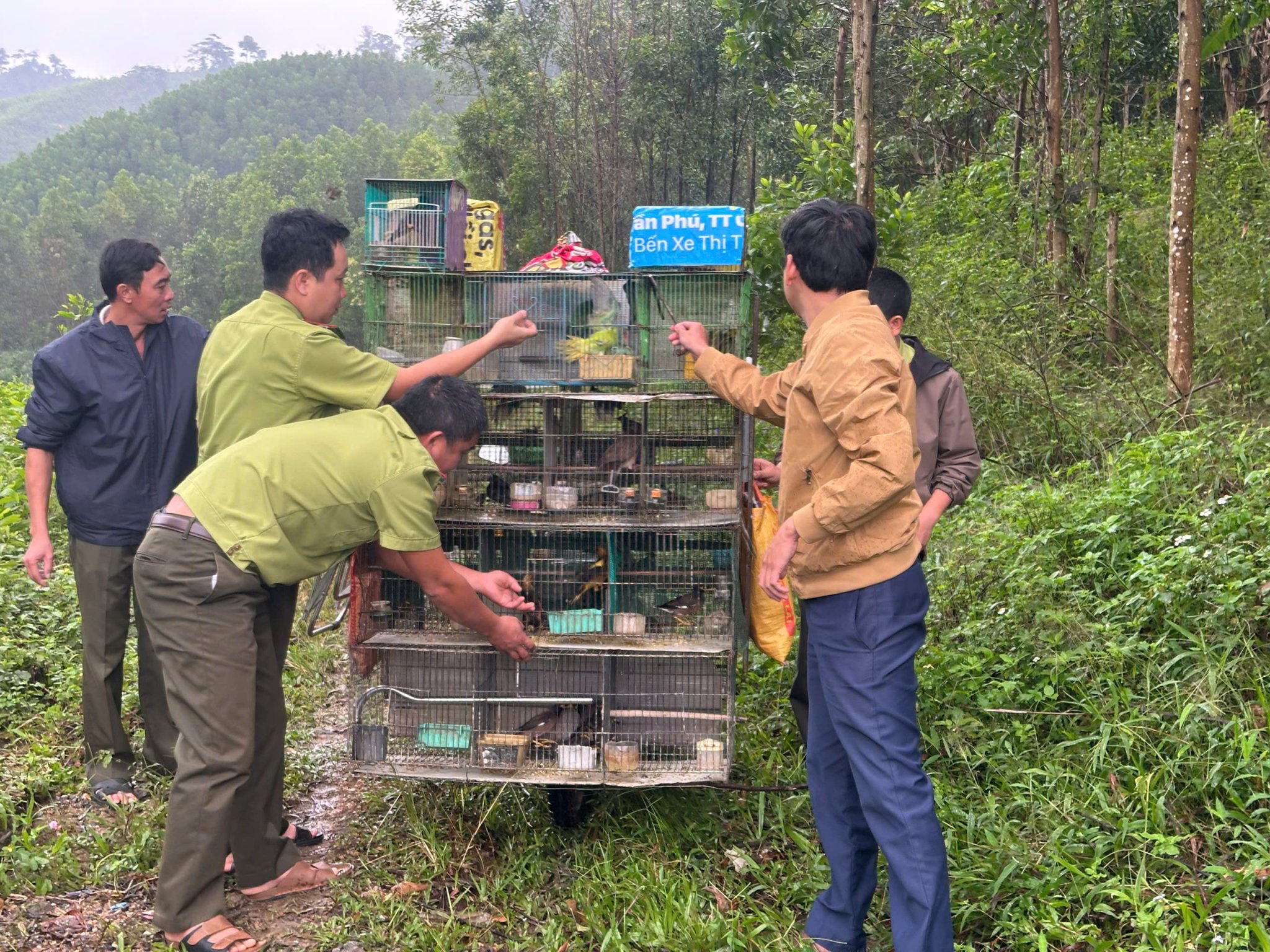 z7310818108187_b6296866c88286a237ad2a9c33a08377 (1)